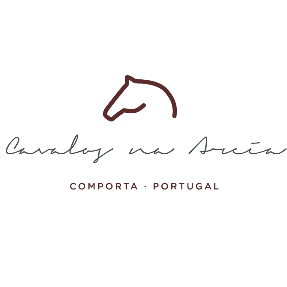 Cavalos na areia digital marketing, sales acceleration and customer service